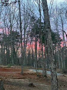 LOT 12 Gap Bridge Rd, Moneta, VA, 24121