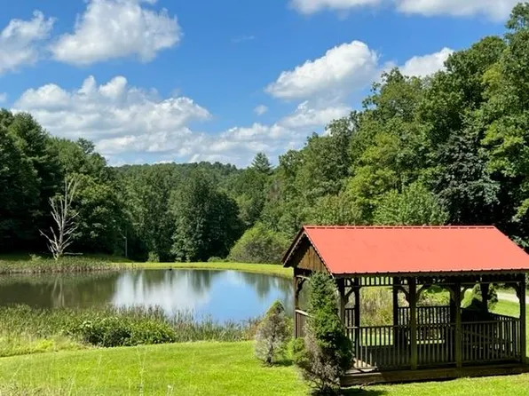 Tbd Cove Ln, Woodlawn, VA 24381