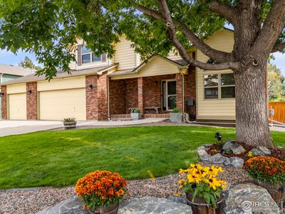 486 Natasha Ct, Loveland, CO, 80537