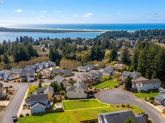 2nd image of Sequoia Loop #89