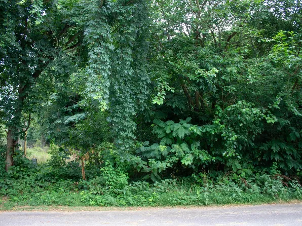 0 Cline St, Taylors, SC 29687