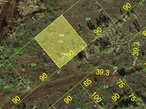 14250 Catfish Ct, Placida, FL 33946