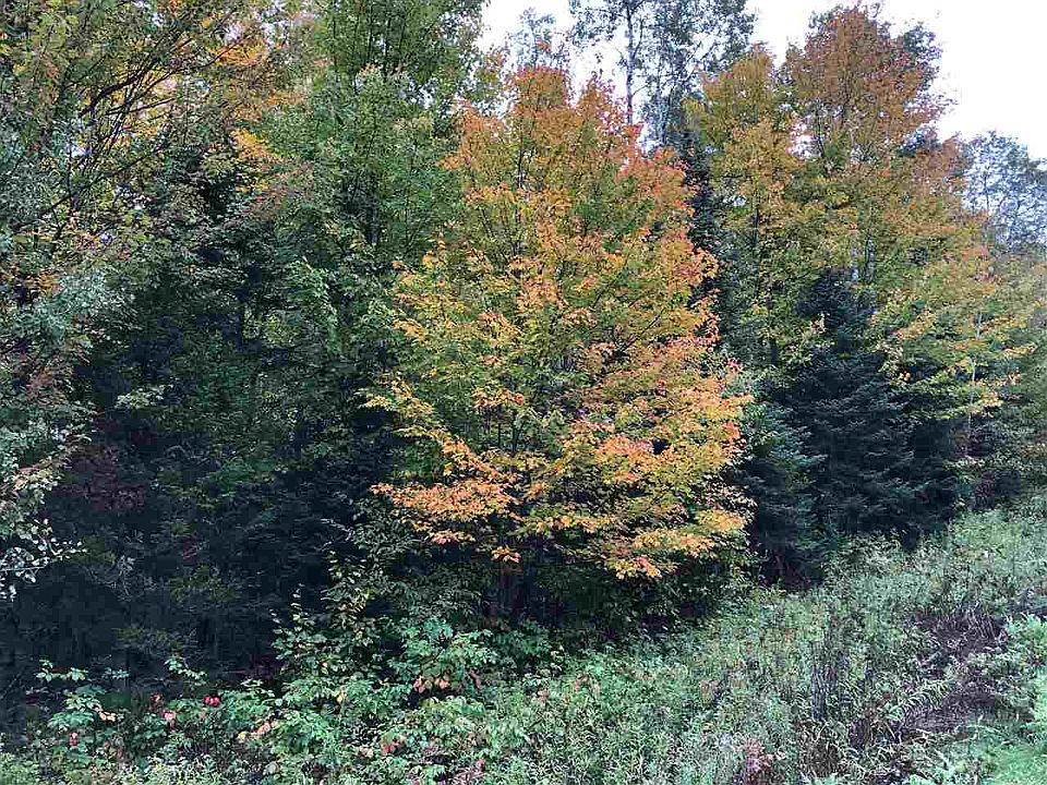 2nd image of Pine River Rd Lot 13