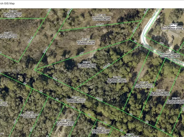 0 Broken Stone St, Webster, FL 33597