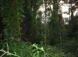 Colleen Cir LOT 367, Pahoa, HI 96778