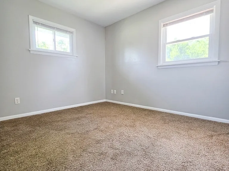 371 Trunk Dr — Photo 4