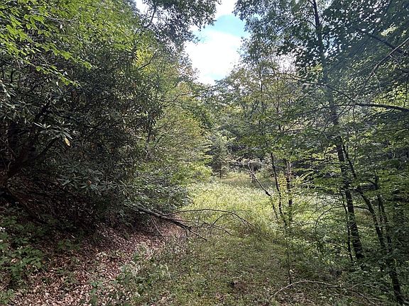 4th image of 230 Little River Retreat Rd