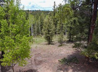 595 Ridge Rd, Divide, CO 80814