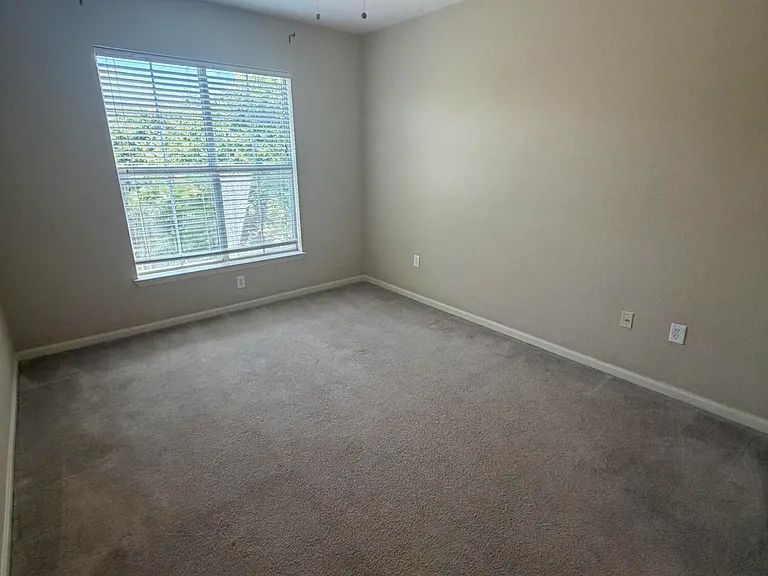 806 Baldwin Rowe Cir — Photo 33