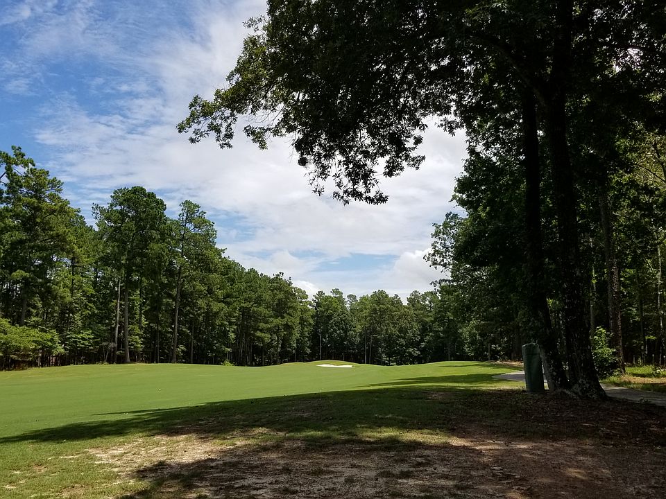 View looking towards green