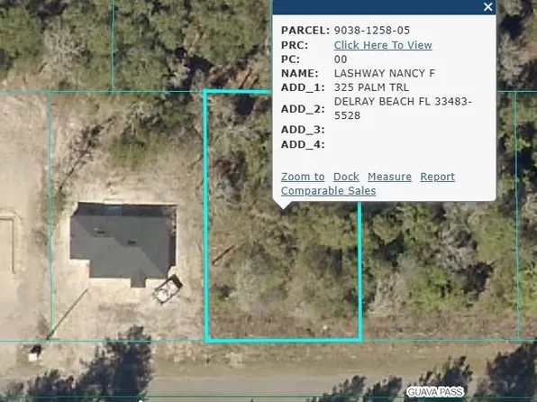 19 Guava Pass, Ocklawaha, FL 32179