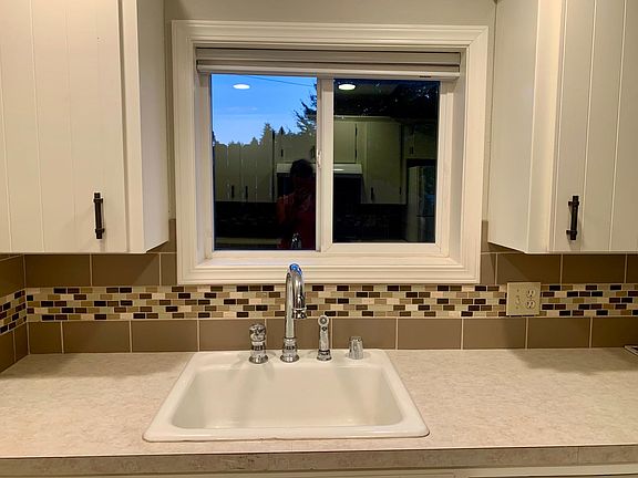 Kitchen sink with garbage disposal and dishwasher to right.