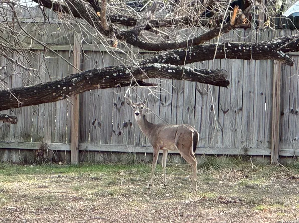 7316 Linkmeadow LOT 6, San Antonio, TX 78240