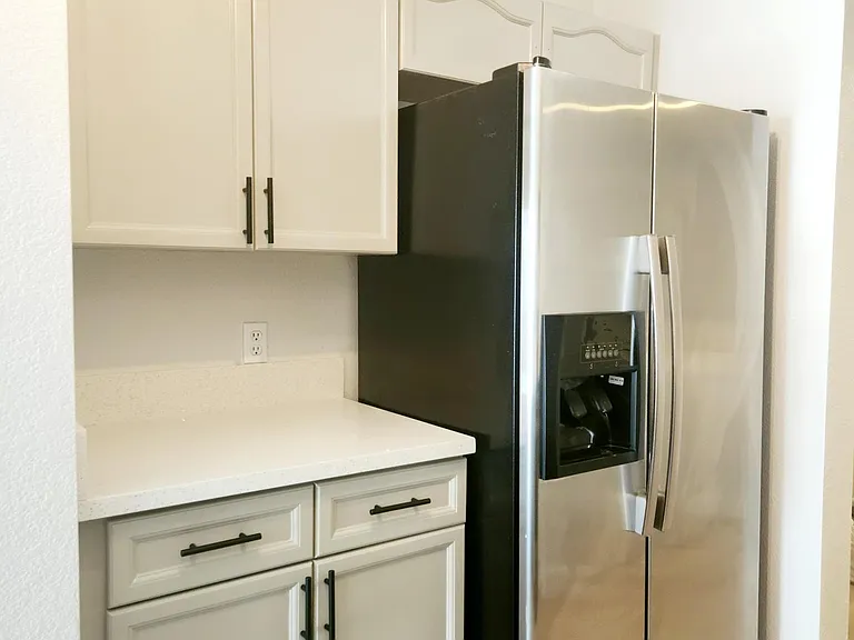 Stainless steel fridge, quartz countertops.