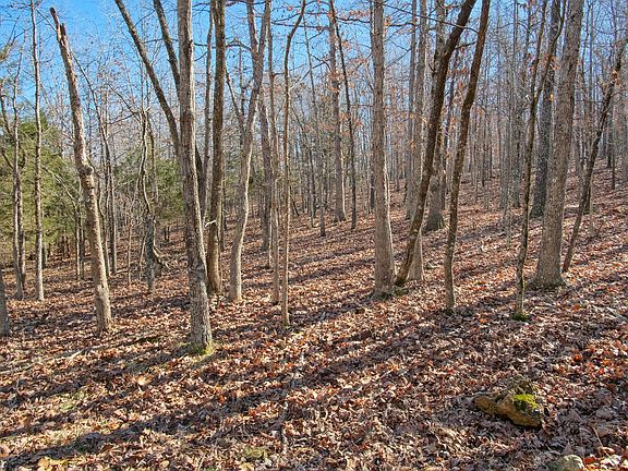 2nd image of 000 County Road 8990