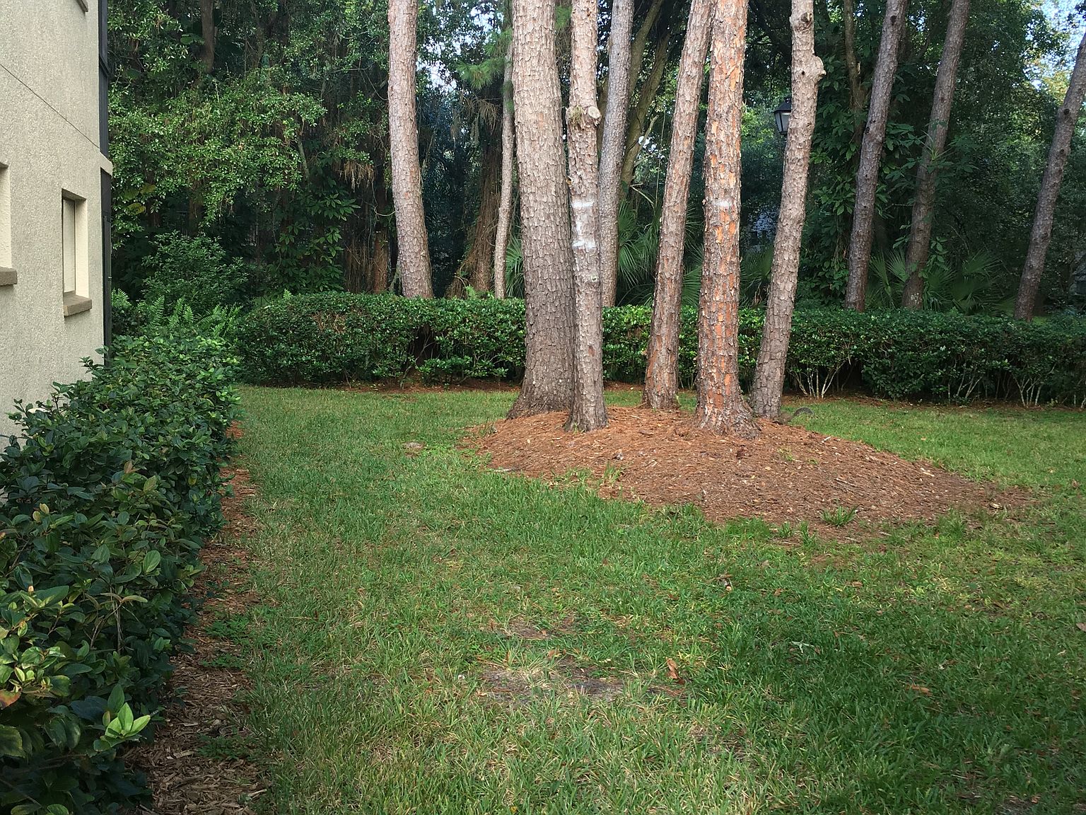 11714 Raintree Lake Ln APT B, Temple Terrace, FL 33617 Zillow