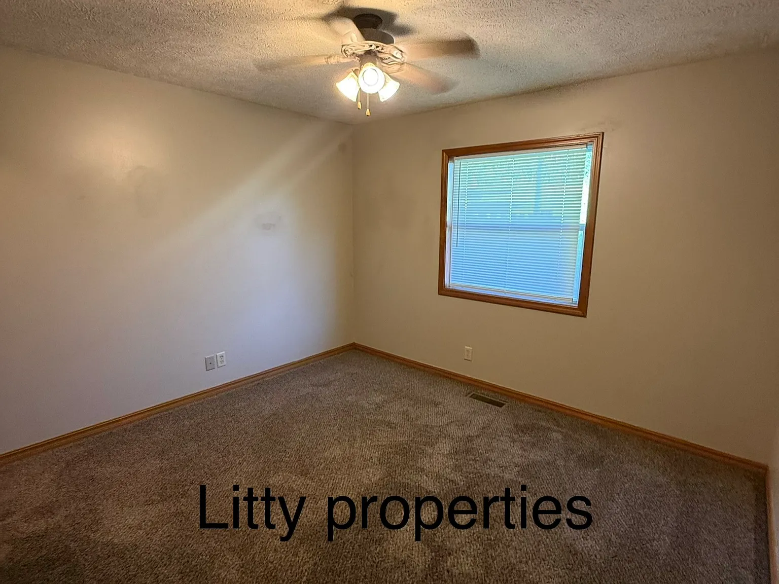 109 Ryan Road - 3 — Photo 4