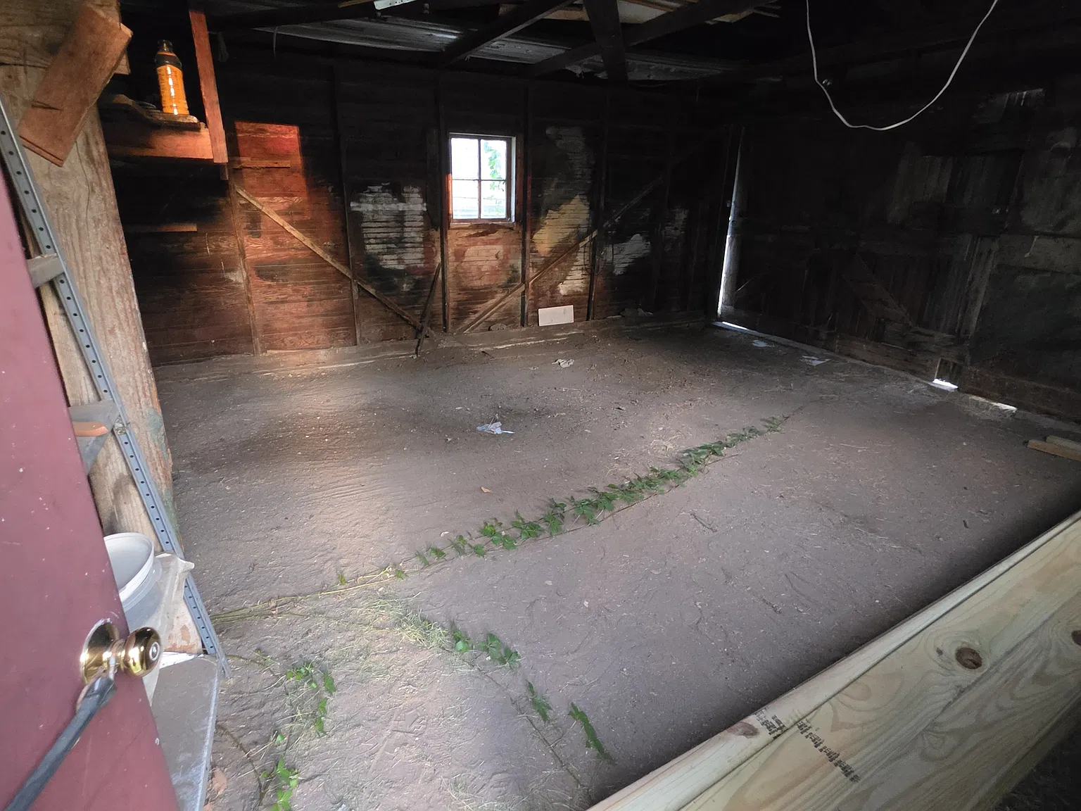 2 bed, 981 sqft, $850 — Photo 4
