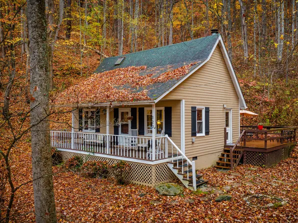 120 Crain Rd, Flag Pond, TN 37657