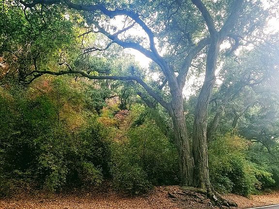 2nd image of Silverado Canyon Road