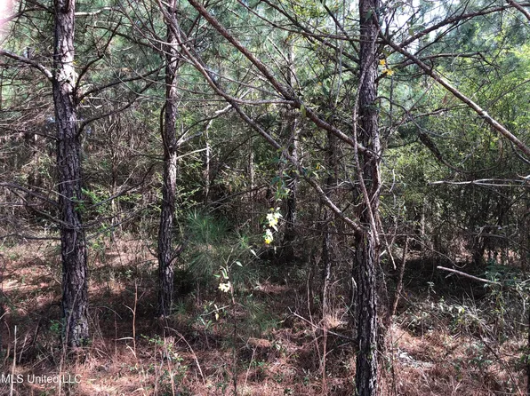 Hearst Rd, Starkville, MS 39759