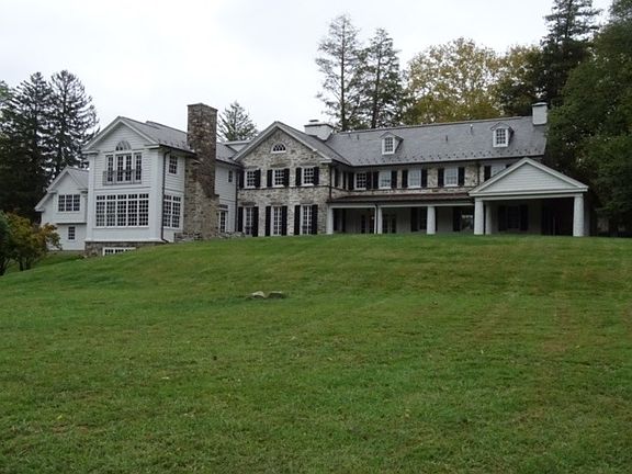 Back View