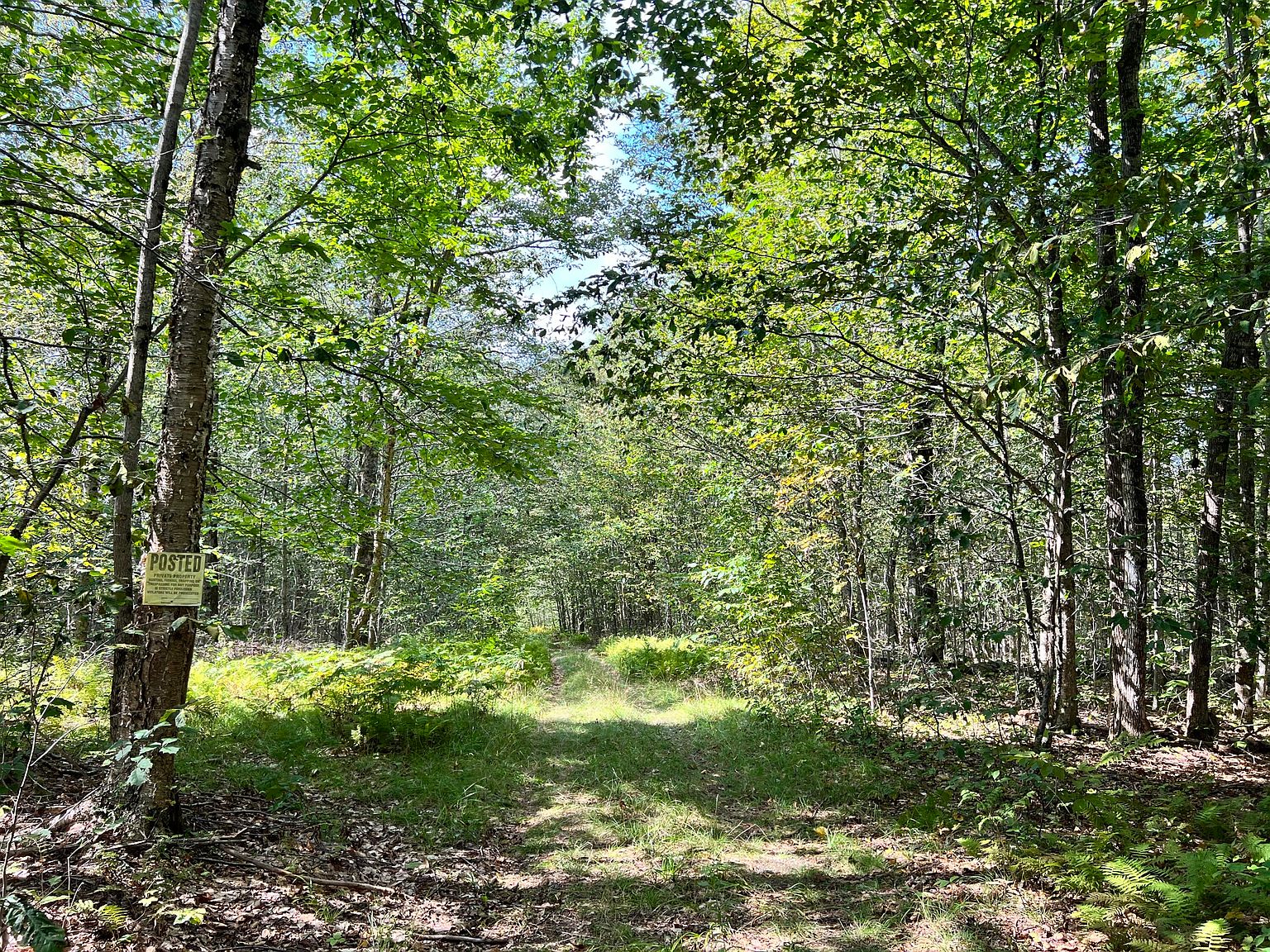 Lot 71 Bragdon Road, Freedom, ME 04941 MLS 1548784 Zillow