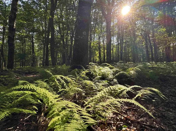 Lots 41 And 42 Day Lily Ct, Terra Alta, WV 26764