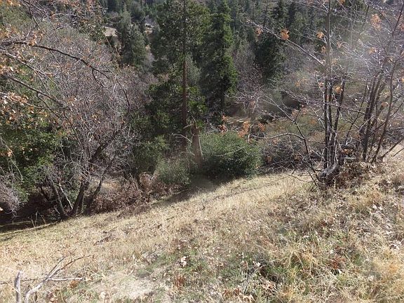 5th image of Piney Ln