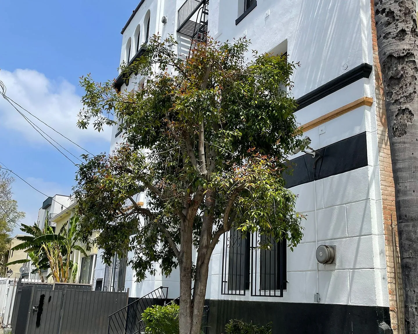 Chateau Los Feliz — Photo 2
