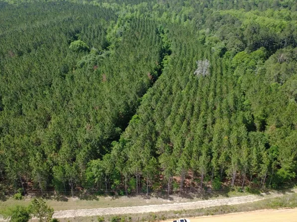A L Reeves Rd, Fitzgerald, GA 31750