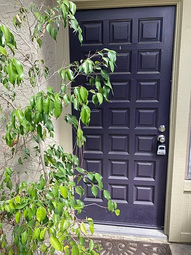 3233 Caminito Eastbluff #19 Photo 1