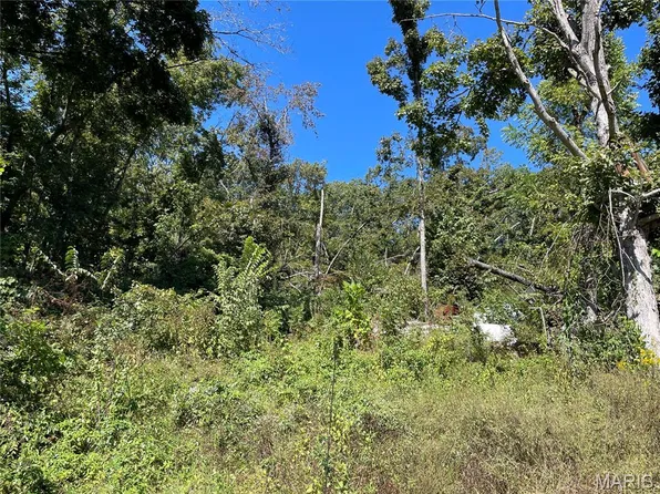 59676 Highway 49, Des Arc, MO 63636