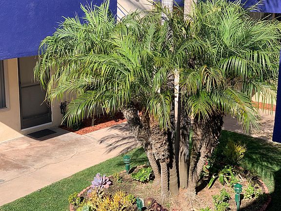 The Palm Garden below is beautiful and serene looking out your dining area windows