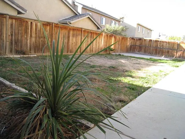 3 bed, 1795 sqft, $2,700 — Photo 4