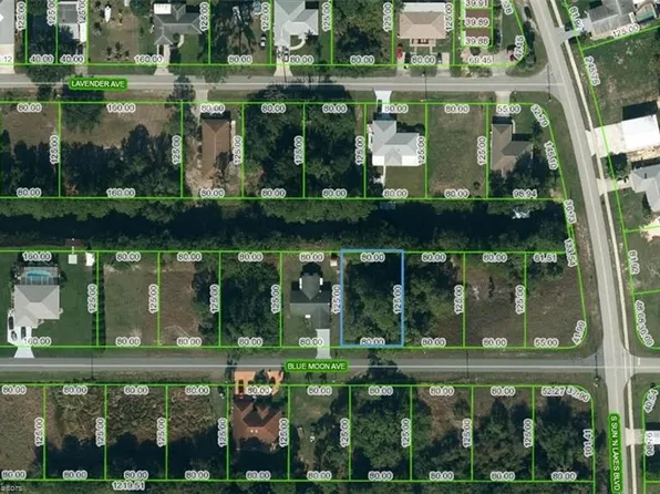 107 Blue Moon Ave, Lake Placid, FL 33852