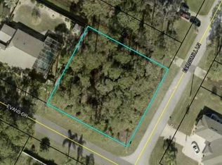 26 Evansmill Ln, Palm Coast, FL 32164