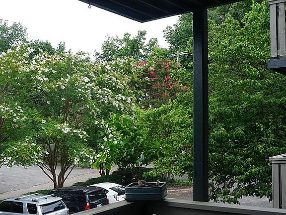 3rd image of 3636 Taliluna Ave APT 613