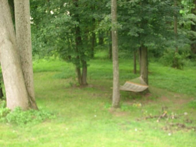 Peaceful 3 acre back wooded yard