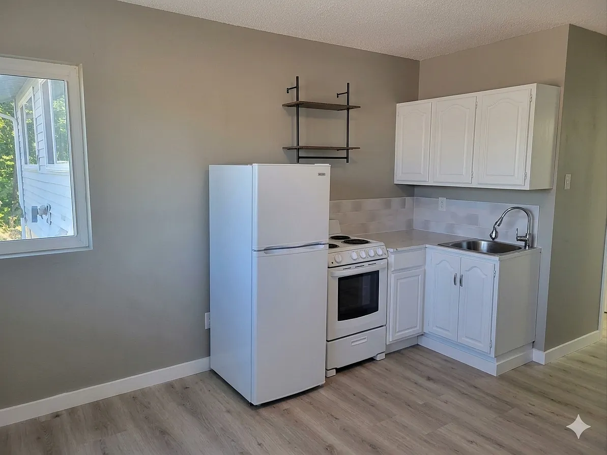 Studio, 300 sqft, $950 — Photo 1