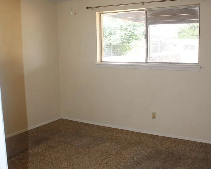10452 Persephone Dr — Photo 12