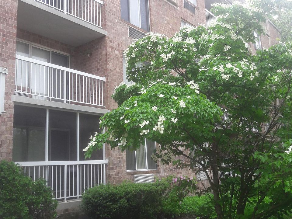 1st image of 171 Wellington Ct APT 1B