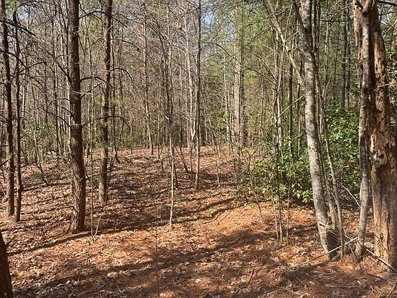 5th image of 0 Blue Ridge Ln