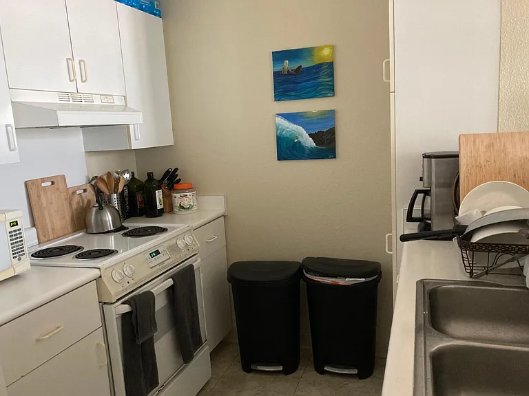 1133 Waimanu St #403 — Photo 3
