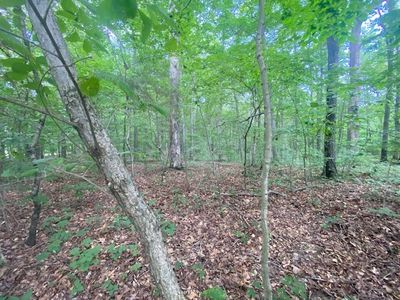 0 Henry Gower Rd, Pleasant View, TN, 37146