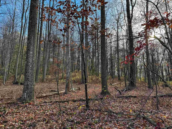 0 Little Mill Fall Rd, Fairmont, WV 26554