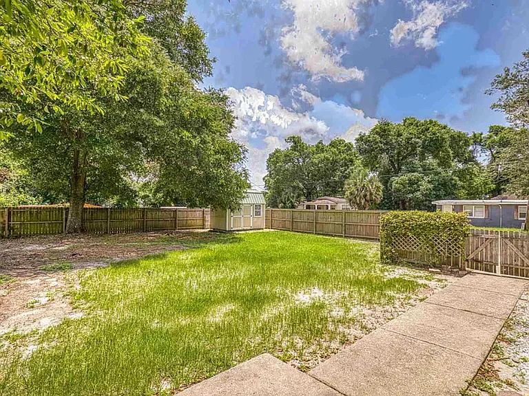 Backyard