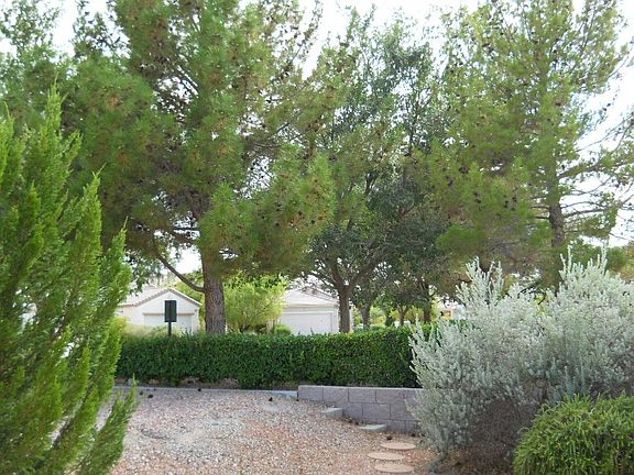4th image of 1377 Forlana Dr
