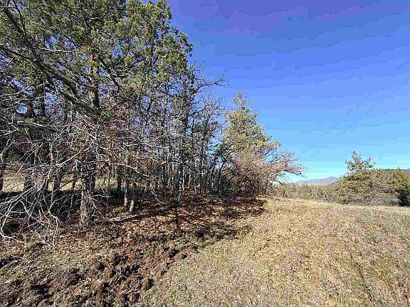 4th image of LOT 120 Willit Way