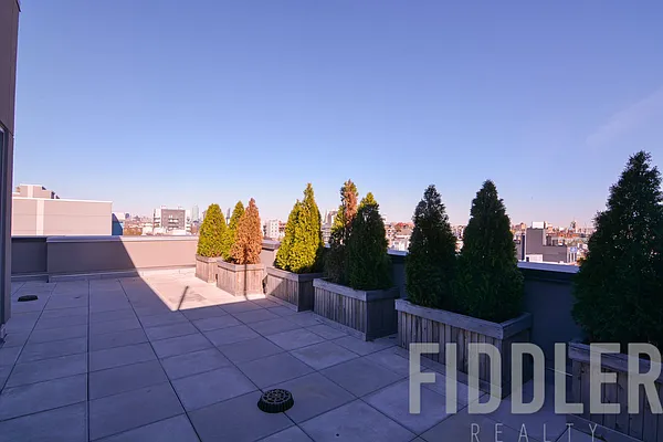 Rented by Fiddler Realty | media 44